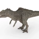 Realistic Giganotosaurus 3d model_(5)