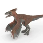 Realistic Pyroraptor 3d model_(5)