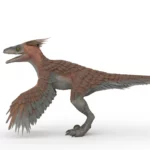 Realistic Pyroraptor 3d model_(7)