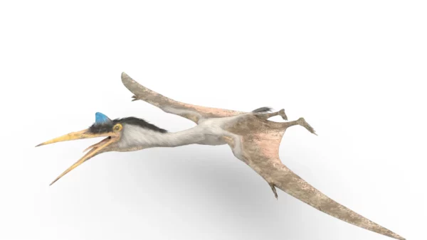 Free Quetzalcoatlus 3D Model Download 3D Model Creature Guard 5