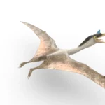 Realistic Quetzalcoatlus 3d model_(6)