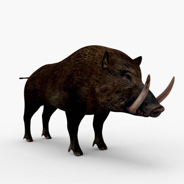 Wild Boar 3D Model Free Download 3D Model Creature Guard