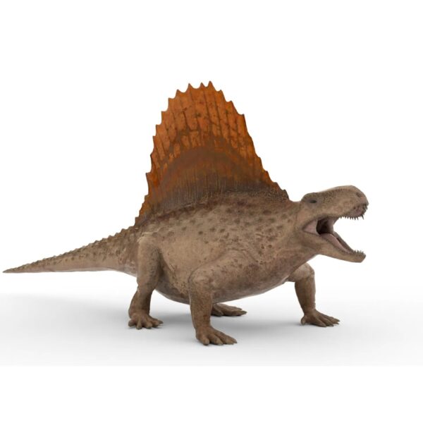 Free Dimetrodon 3D Model Download 3D Model Creature Guard
