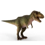 Tyrannosaurus 3d model_(1)