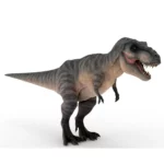 Tyrannosaurus 3d model_(1)