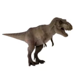 Tyrannosaurus 3d model_(1)