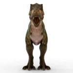Tyrannosaurus 3d model_(3)
