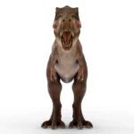 Tyrannosaurus 3d model_(3)