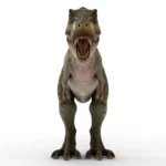 Tyrannosaurus 3d model_(3)