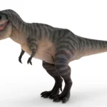 Tyrannosaurus 3d model_(4)