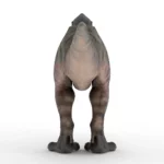 Tyrannosaurus 3d model_(6)