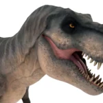 Tyrannosaurus 3d model_(7)