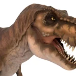 Tyrannosaurus 3d model_(7)