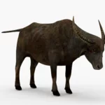 Wild Buffalo 3D Model_(1)