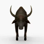 Wild Buffalo 3D Model_(4)