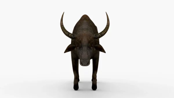 Wild Buffalo 3D Model Free Download 3D Model Creature Guard 5