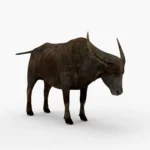 Wild Buffalo 3D Model_(7)