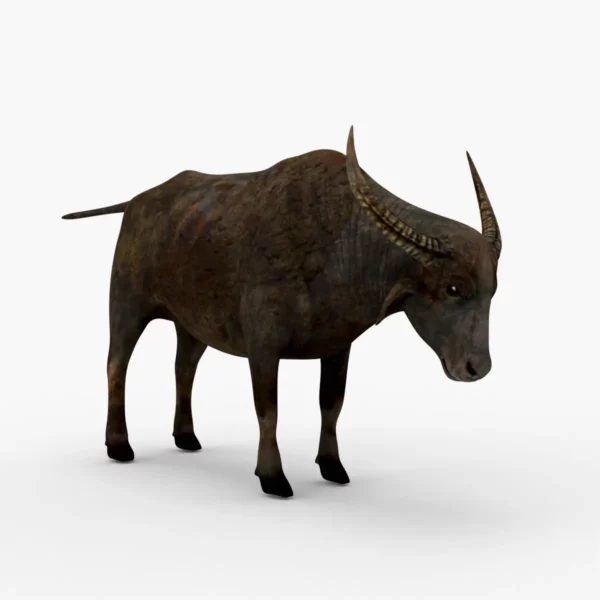 Wild Buffalo 3D Model Free Download 3D Model Creature Guard