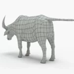 Wild Buffalo 3D Model_(9)