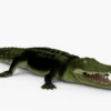 Crocodile Collection 3D Model Free Download 3D Model Creature Guard 25
