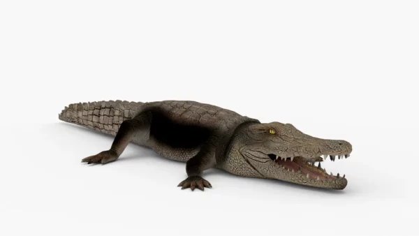 Crocodile Collection 3D Model Free Download 3D Model Creature Guard 3