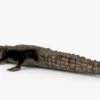 Crocodile Collection 3D Model Free Download 3D Model Creature Guard 34