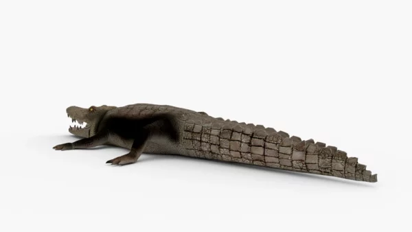 Crocodile Collection 3D Model Free Download 3D Model Creature Guard 11