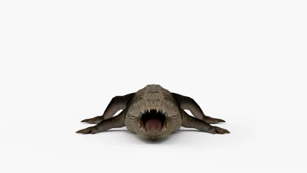 Crocodile Collection 3D Model Free Download 3D Model Creature Guard 6