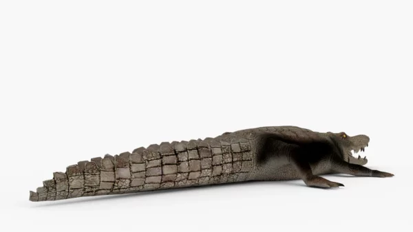 Crocodile Collection 3D Model Free Download 3D Model Creature Guard 8
