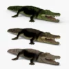 Crocodile Collection 3D Model Free Download 3D Model Creature Guard 24