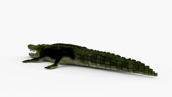 Crocodile Collection 3D Model Free Download 3D Model Creature Guard 19