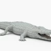 Crocodile Collection 3D Model Free Download 3D Model Creature Guard 43