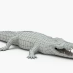 crocodile collection 3d model_(20)