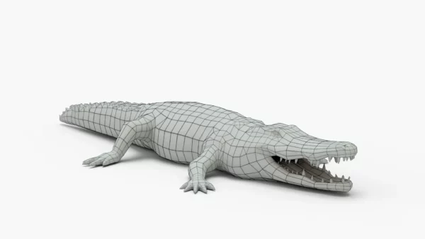 Crocodile Collection 3D Model Free Download 3D Model Creature Guard 20