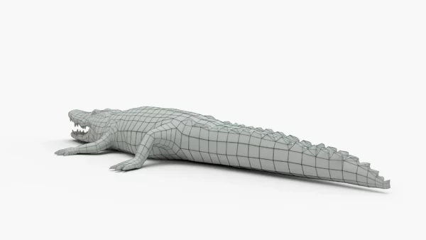 Crocodile Collection 3D Model Free Download 3D Model Creature Guard 23
