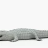 Crocodile Collection 3D Model Free Download 3D Model Creature Guard 45