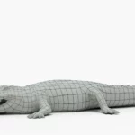 crocodile collection 3d model_(22)