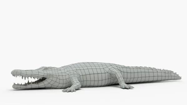 Crocodile Collection 3D Model Free Download 3D Model Creature Guard 22