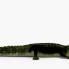 Crocodile Collection 3D Model Free Download 3D Model Creature Guard 40