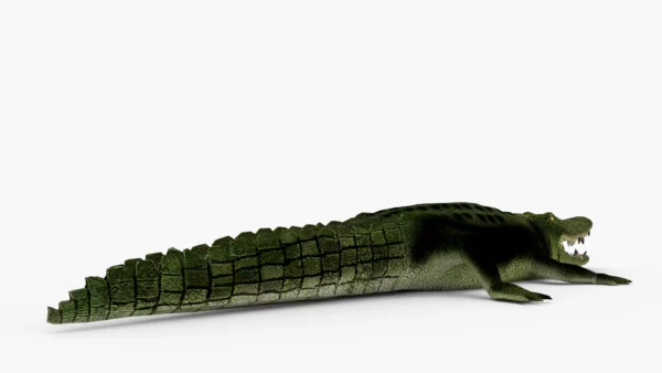 Crocodile Collection 3D Model Free Download 3D Model Creature Guard 16
