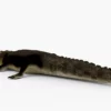Crocodile Collection 3D Model Free Download 3D Model Creature Guard 38