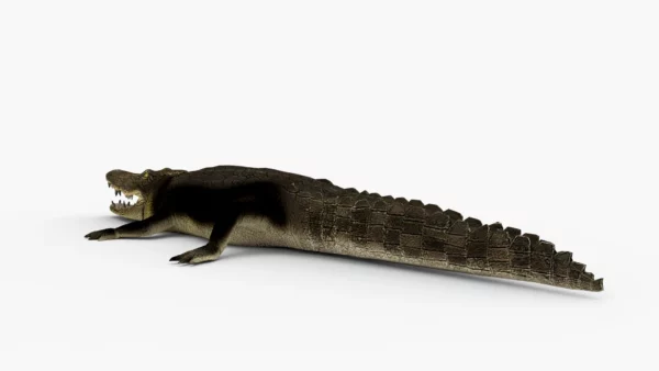 Crocodile Collection 3D Model Free Download 3D Model Creature Guard 15