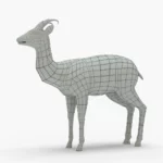 deer 3d model_(10)