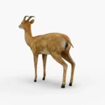 deer 3d model_(2)