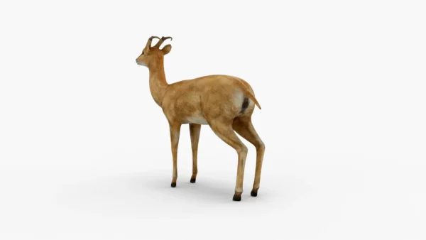 Deer 3D Model Free Download 3D Model Creature Guard 7