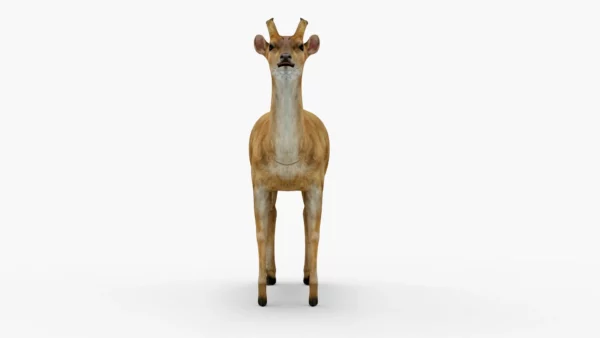 Deer 3D Model Free Download 3D Model Creature Guard 3