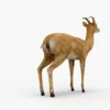 Deer 3D Model Free Download 3D Model Creature Guard 17