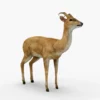 Deer 3D Model Free Download 3D Model Creature Guard 12