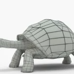 galapagos tortoise 3d model_(10)