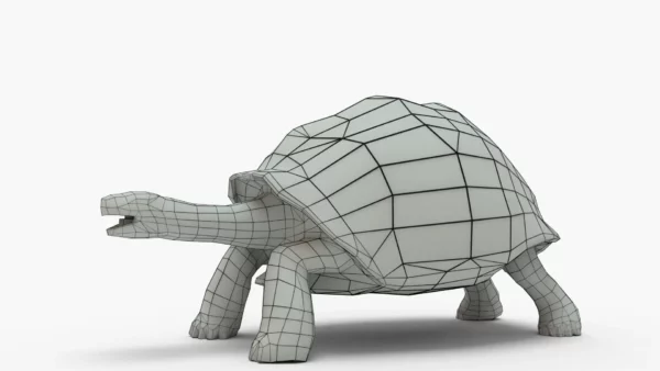 Galapagos Tortoise 3D Model Free Download 3D Model Creature Guard 9